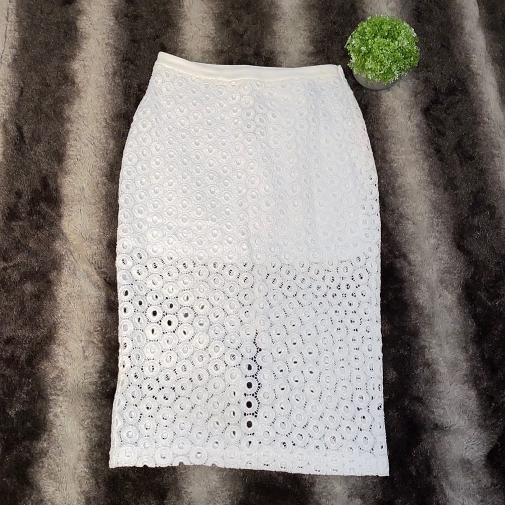 Express skirt